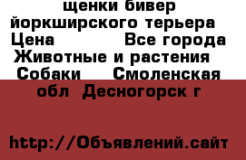 щенки бивер йоркширского терьера › Цена ­ 8 000 - Все города Животные и растения » Собаки   . Смоленская обл.,Десногорск г.